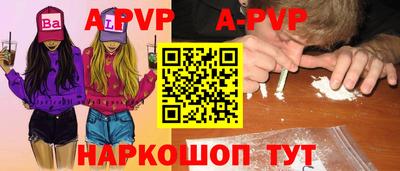 стаф Краснодар