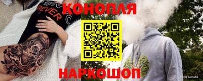 стаф Краснодар