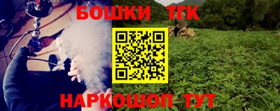 стаф Краснодар