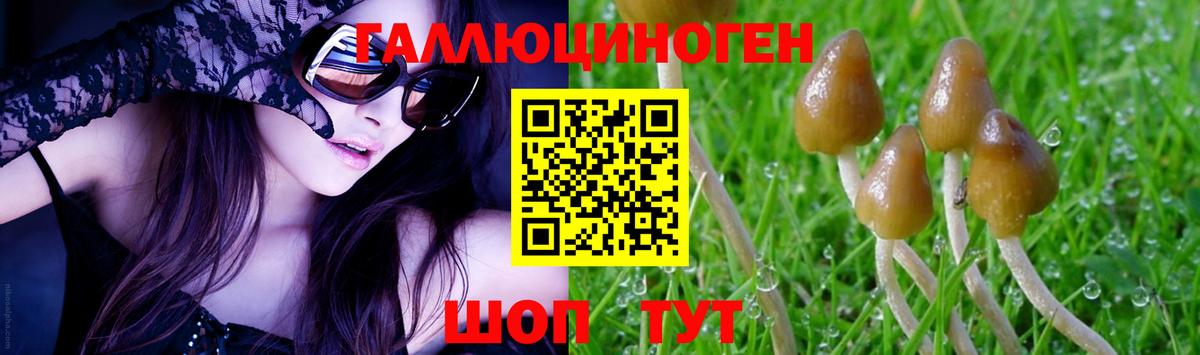 Псилоцибиновые грибы Magic Shrooms Владимир