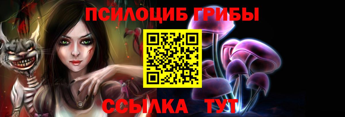 Владимир  Галлюциногенные грибы GOLDEN TEACHER  купить   Вход с VPN 